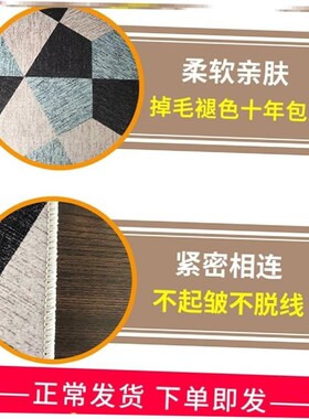 Carpet Living Room Warm Floor Rugs fluffy Mats Kids Room地毯