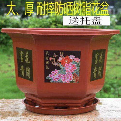 New hexagonal flower pot extra large thickened plastic flowe