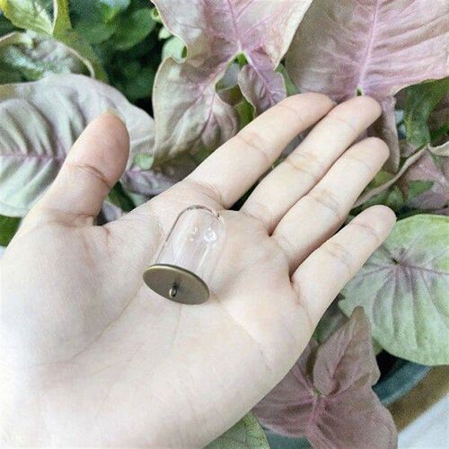 5/10/30/50/100X 25x18mm Tube Glass Dome Display Glass Bell