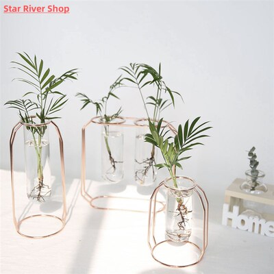 Nordic Creative Vase Home Decor Golden Glass Vase Hydroponic