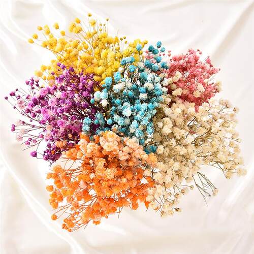Real Happy Flower Small Natural Dried Flowers Bouquet Dry Fl