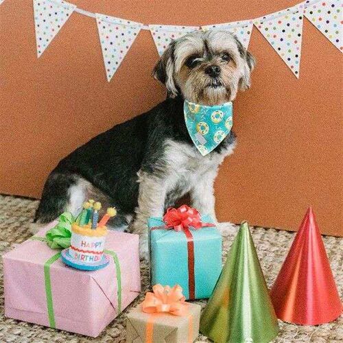 30 Pcs Sublimation Blank Pet Bandana Heat Transfer Washable