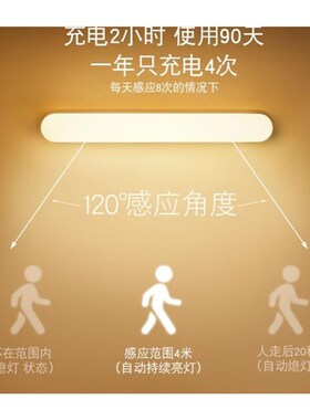 Motion Sensor LED Night Light USB Rechargeable Lamp感应灯