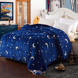 Flannel beds Winter Thick Quilt Blanket Duvet Warm Comforter