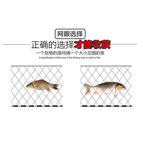 Flying fishing gear fishing net sticky net wire mesh three-l