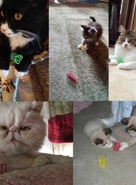 Kitten Cat Toys Wide Durable Heavy Gauge Cat Spring Toy Colo
