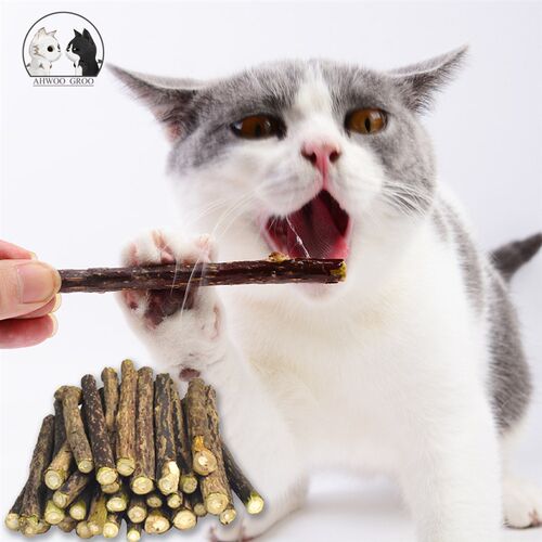 Hot Pure Natural Catnip Pet Cat Toy Suit Safety Molar Toothp