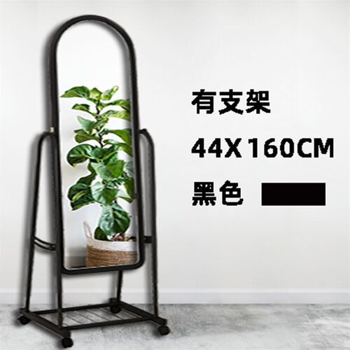 Movable Full Length Mirror  Wheels Dressing Standing Holder