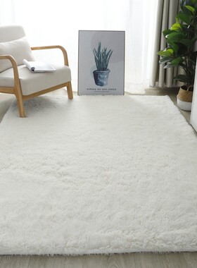 Fluffy Area Rugs for Bedroom Shaggy Floor Mat Carpet 地毯垫