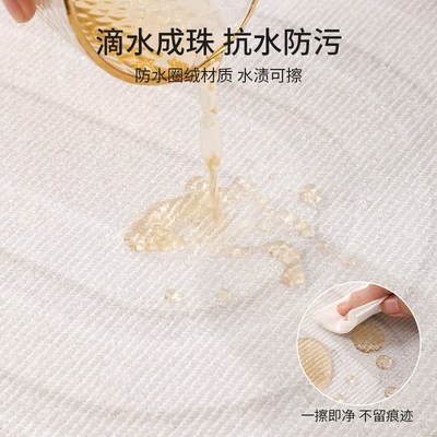 地毯客厅202新款高级感奶油风防滑防水沙发地垫免打理卧室床边毯