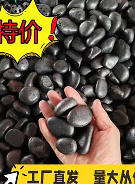 黑色铺路庭院公园装饰天然南京普通抛光雨花鹅卵石子户外造景一吨