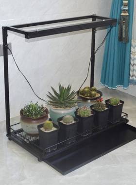 阳台多肉花架YJJ-HJ01块根物架子龟甲龙支植室架内绿植桌可面窗台