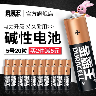 Duracell Plus Power AA, AAA, 9v Alkaline Batteries Lr03 Lr6