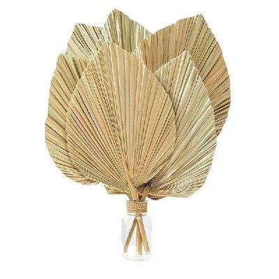 1~10PCS 4 Pieces Natural Dried Palm Leaves Are Perfect For
