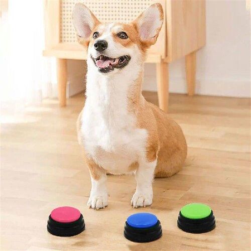 Pet Sound Box Recordable Talking Button Cat Voice Recorder