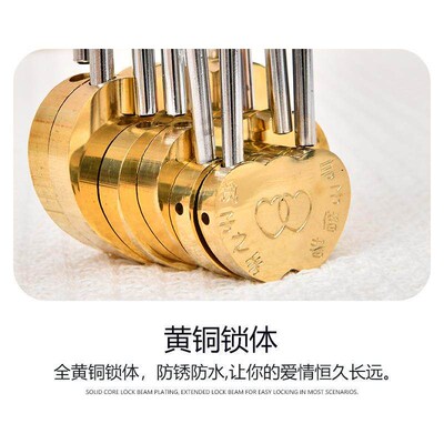 40mm Tongxin Lock Wedding Lock Wedding Lock Travel Lock Hea