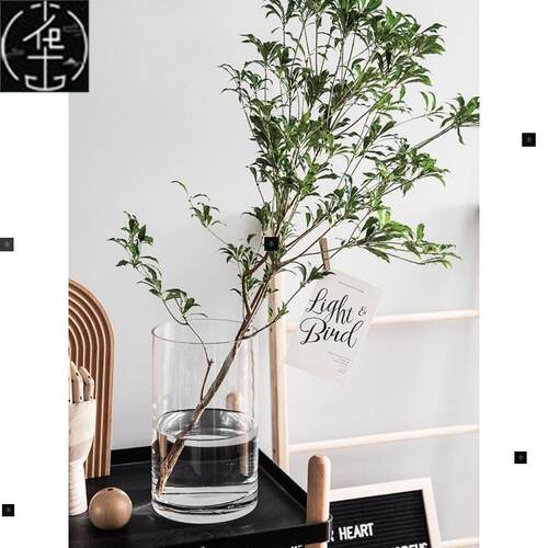 Vase furnishing articles flower arranging transparent glass