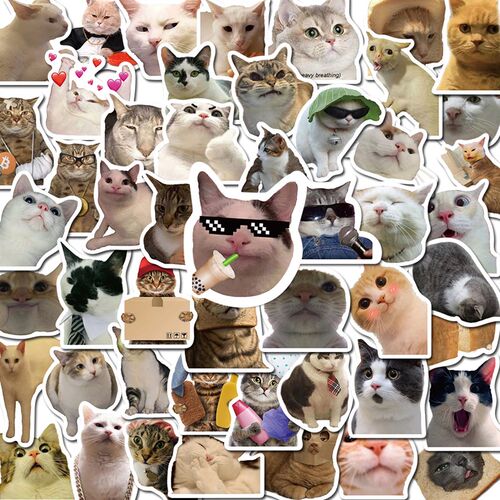 10/50PCS Cat MEME Funny Animals ers Vintage Toy DIY Kids Not