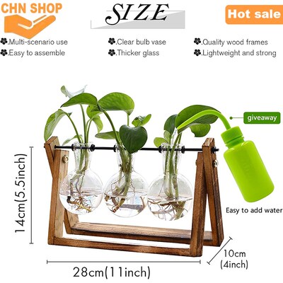 Plant Terrarium with Wooden Stand Vintage desktop decoration