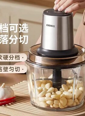 德国FZY绞肉机家用全自动多功能搅拌机电动料理机大容量打肉馅机