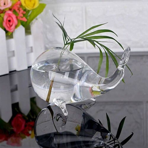 Hydroponics Plant Flowerpot Flower Arrangement Transparent G