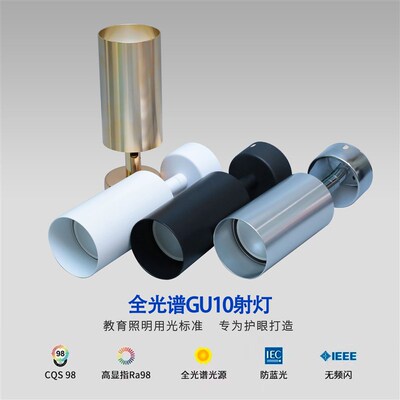 Ming-mounted Gu10 Spotlight Adjustable Angle Shaking Head Ho