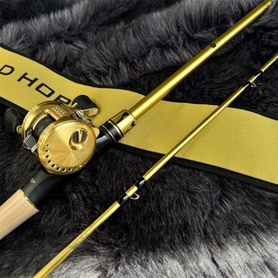 大王孝金角雷强竿打黑专用2.28米XH XXH中重雷超硬远投巨物路亚竿