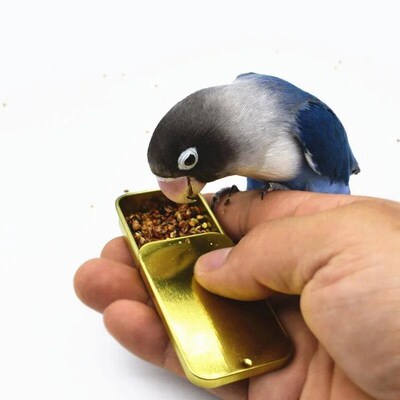 Bird Training Food Jar Parrot Handheld Feeder Bird Interacti