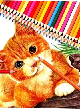 Oil colored pencil students draw 48 color pencils by hand