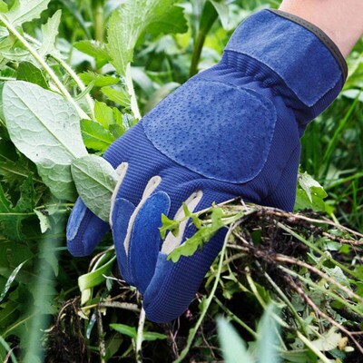 1 Pair Gardening Gloves Rose Pruning Thorn Proof Gloves With