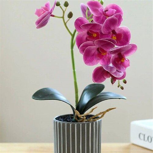 Artificial Orchid Bonsai Potted Phalaenopsis Home Fake for
