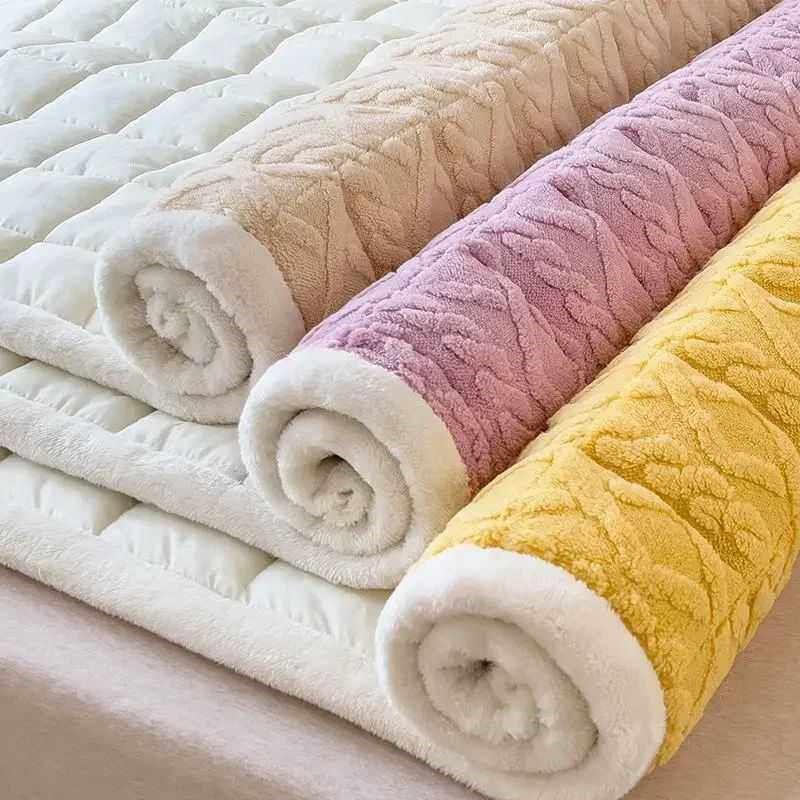 Winter Soft Fleece Maress Toppers Home Dormitory Single Doub - 实物图