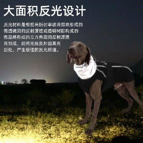 Dog Clothes Autumn and Winter Thickened Small Medium Large