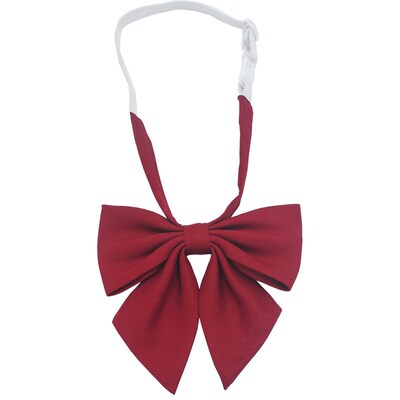 Matte Feather Bow Tie/Collar Womens College Style Pointed B