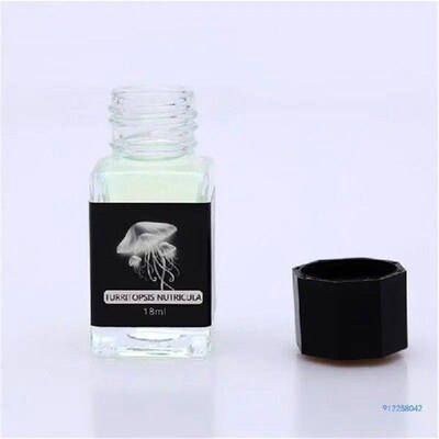 Invisible with UV Flashlight 18ml for Glass Fountain Pen