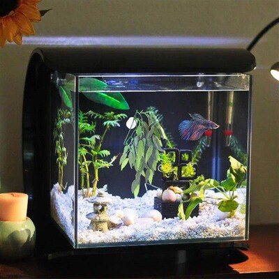 Hanging Plants for Reptiles Rattan Fish Bowl Tank
