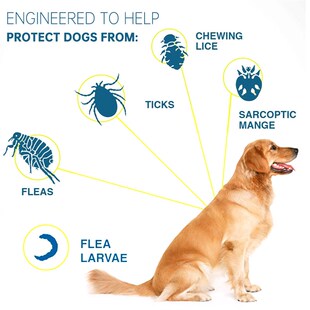 Dog Antiparasitic Collar Dog Anti Flea And Tick Collar For S