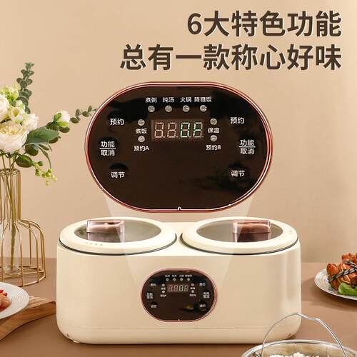 110v/220v Yuanyang Pot Electric Hot Pot Double-gallon Rice C
