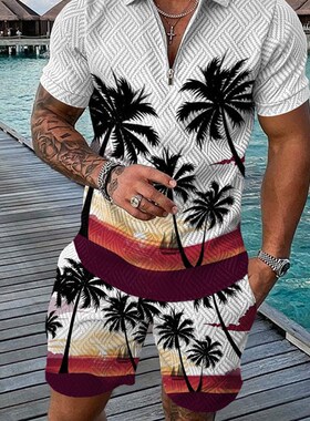 Summer Hawaii 3D Print  Shirts Shorts Sets Mens Fashion Ove