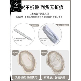 shaped sofa carpet room 地毯 mat rug floor Living bedroom