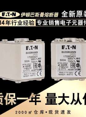 熔断器170M3418 3419 3420 3421 3422 3423 1369 1370 1371 1372