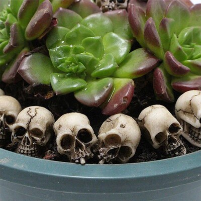 10/20Pcs Gothic Skull/ Mushroom Sculptures Collectable Hallo