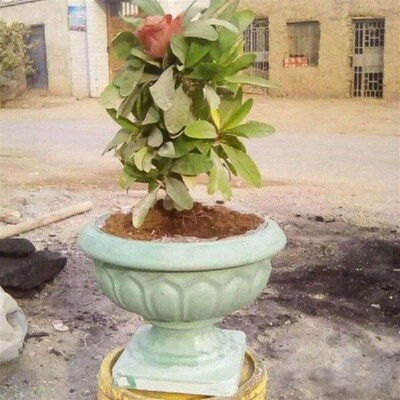 Concrete Flower Pots Molds Plastic Planter Molds Cement