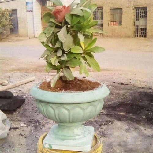 Concrete Flower Pots Molds Plastic Planter Molds Cement