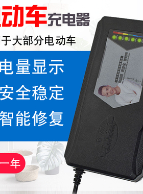 (自动断电)本铃电动车电瓶充电器48V20AH 48V12AH60V20AH72v8