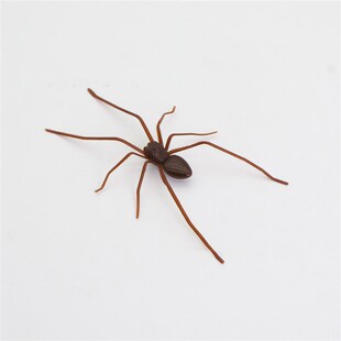 plastic 塑料装 spider decoration 饰蜘蛛恶搞摆饰 跨境爆品