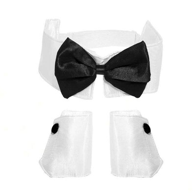 Bunny Girl Costume Set With Bunny Ears, Bow Tie, Tail, Glove