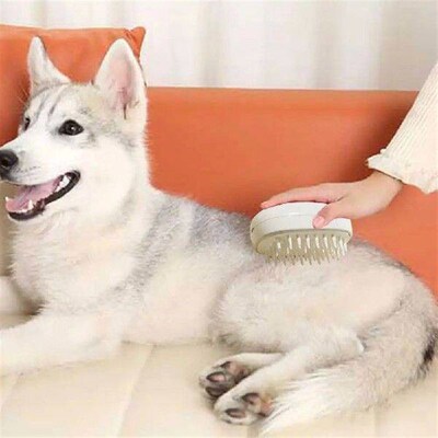 Pet Grooming Comb Cartoon Pet Brush Electric Pet Grooming