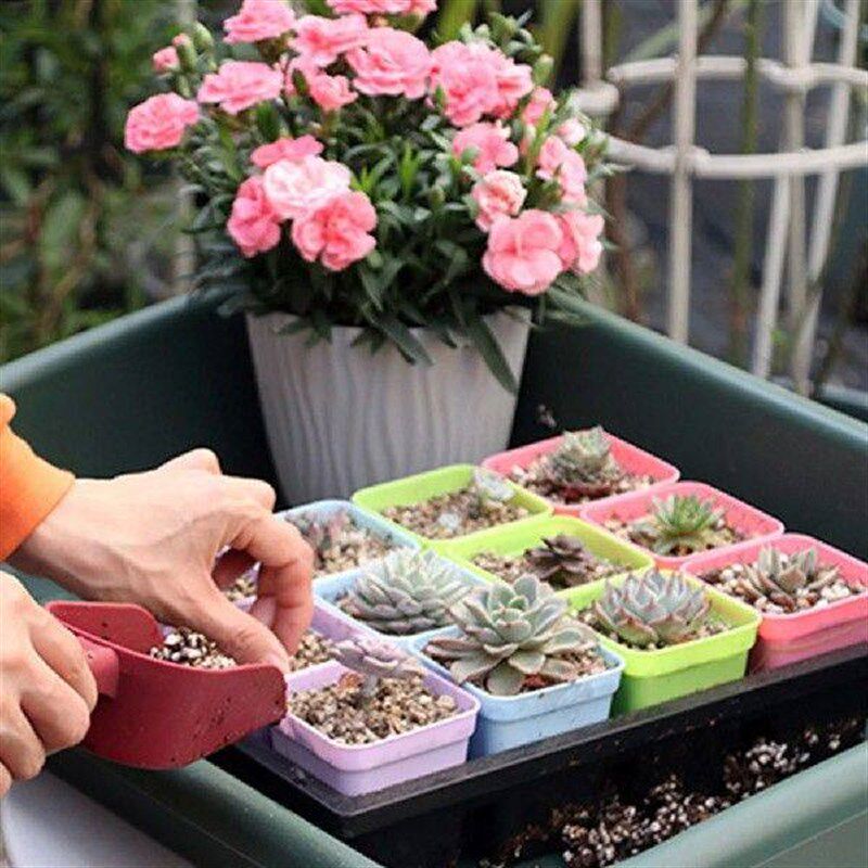 Seedling Tray Easy To Clean Efficient Convenient Gardening - 实物图