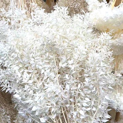 Bleached Fugui Leaf Eternal Flower Dried Flower  Material We